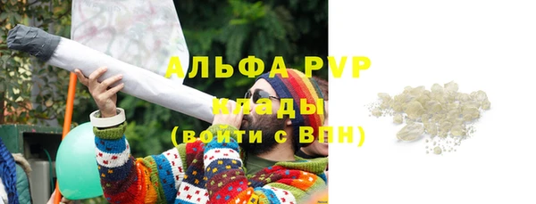 дмт Абаза