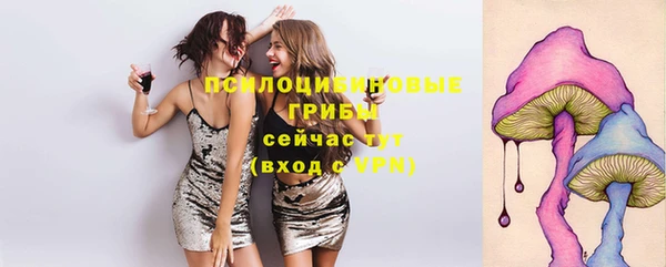 дмт Абаза