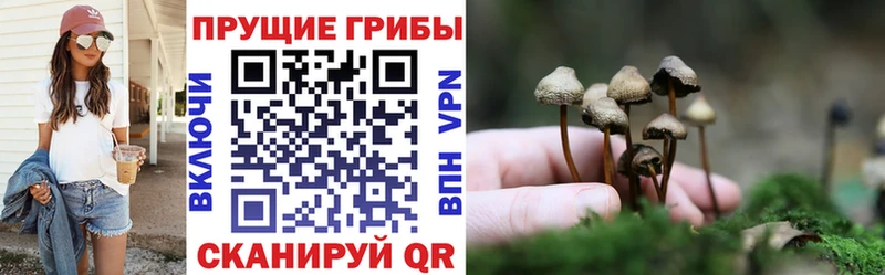Галлюциногенные грибы прущие грибы  Новочебоксарск 