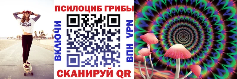 Галлюциногенные грибы GOLDEN TEACHER Новочебоксарск